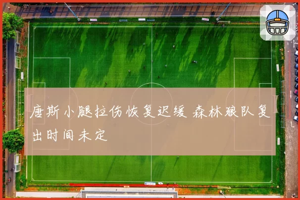 唐斯小腿拉伤恢复迟缓 森林狼队复出时间未定