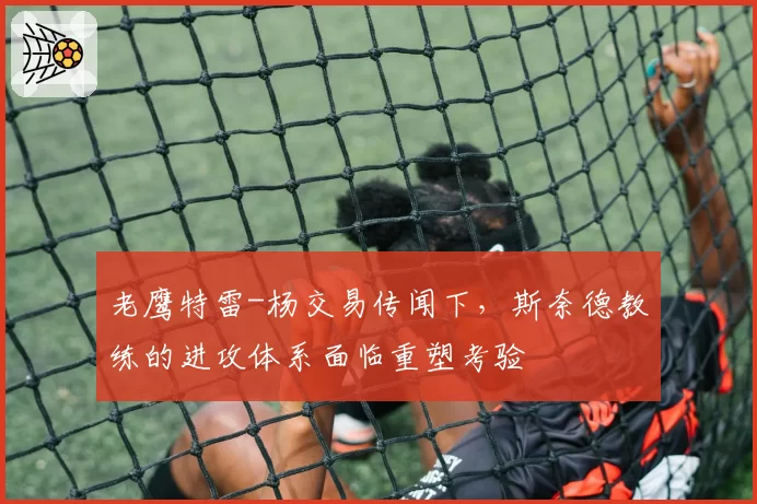 老鹰特雷-杨交易传闻下,斯奈德教练的进攻体系面临重塑考验