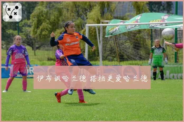 伊布讽哈兰德 搭档更爱哈兰德