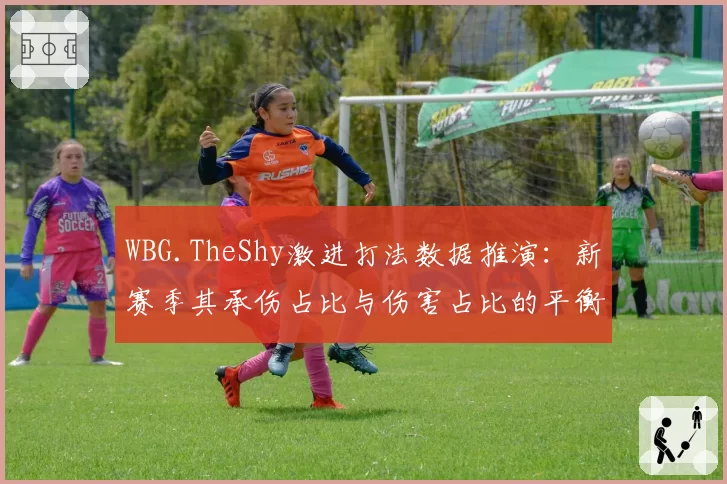 WBG.TheShy激进打法数据推演：新赛季其承伤占比与伤害占比的平衡点
